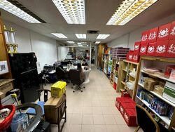 Golden Sultan Plaza (D7), Shop House #529288491